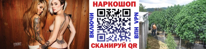 Где можно купить наркотики Пущино мега как войти  Меф  МАРИХУАНА 