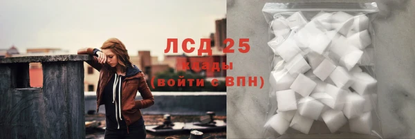 ECSTASY Алзамай