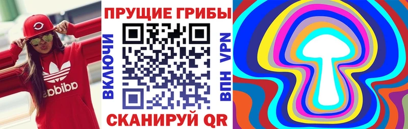 Псилоцибиновые грибы ЛСД  закладка  Пущино 
